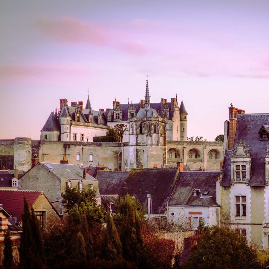 Hotel Spa - Au Charme Rabelaisien Amboise Exterior photo